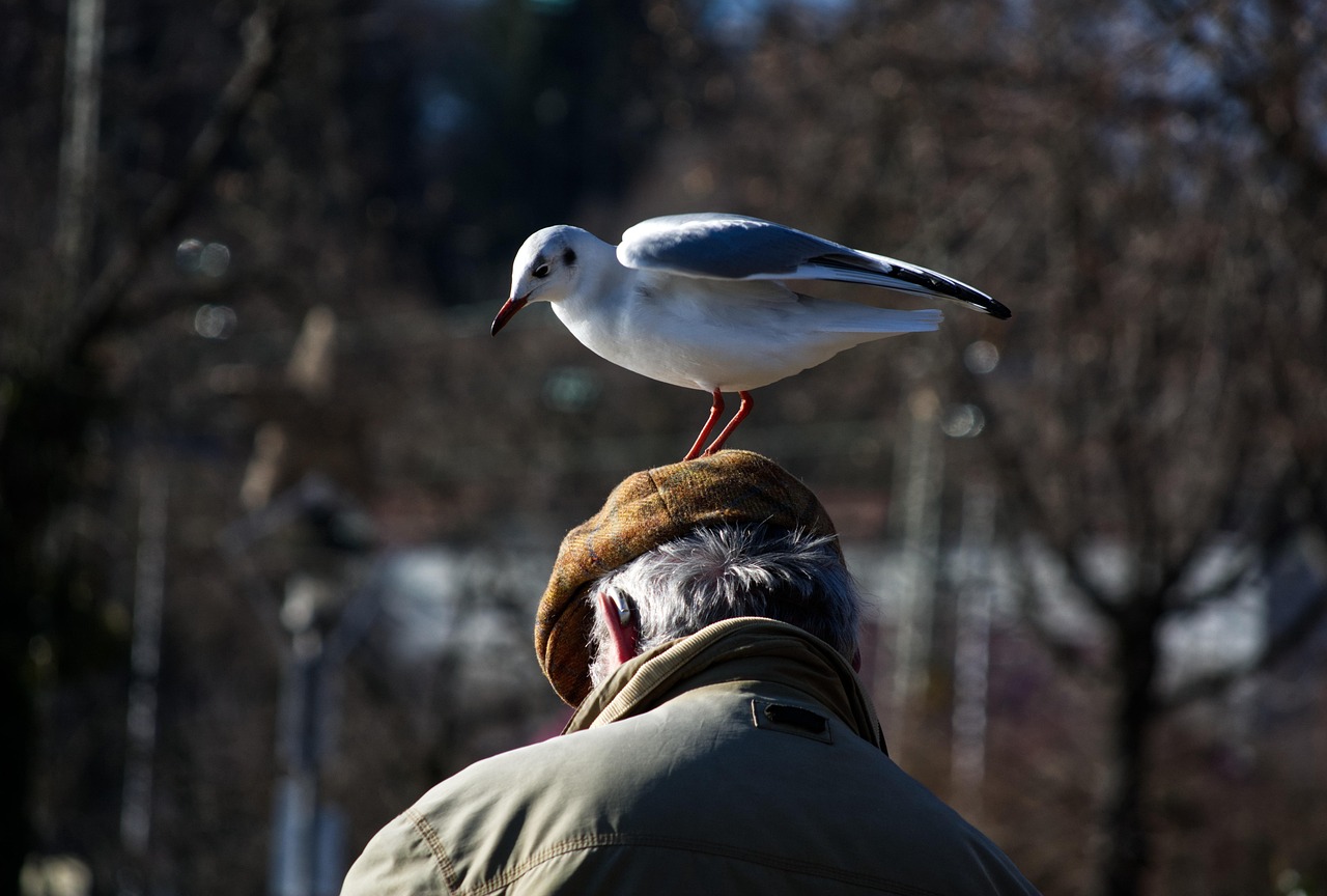 Man and Bird