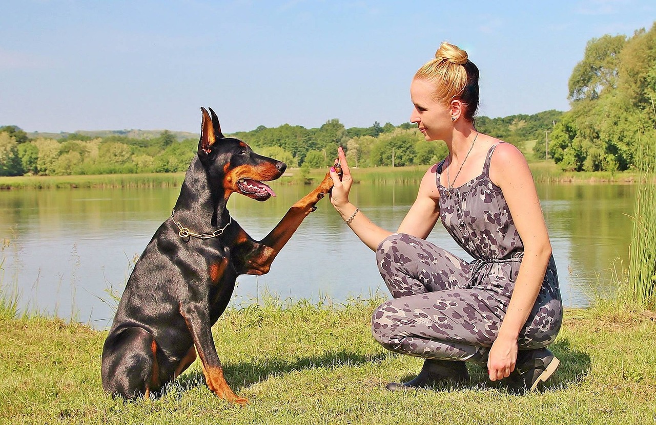 Dog and Lady